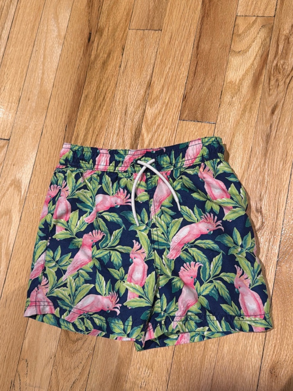 Janie and Jack Bird Print Swim Shorts